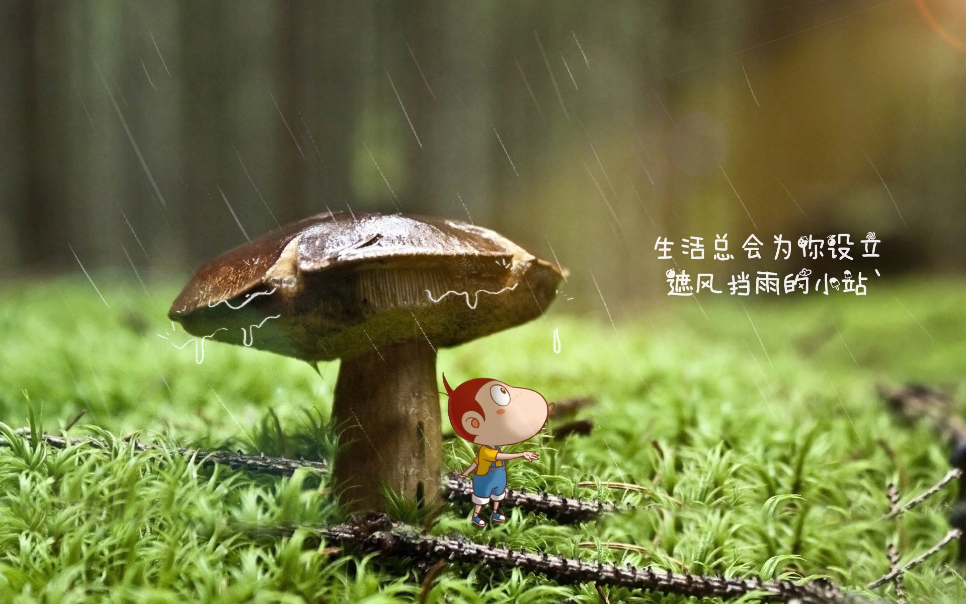 世界乒乓球赛季最佳新人评选第28版规则发布,第28届世界乒乓球锦标赛男单